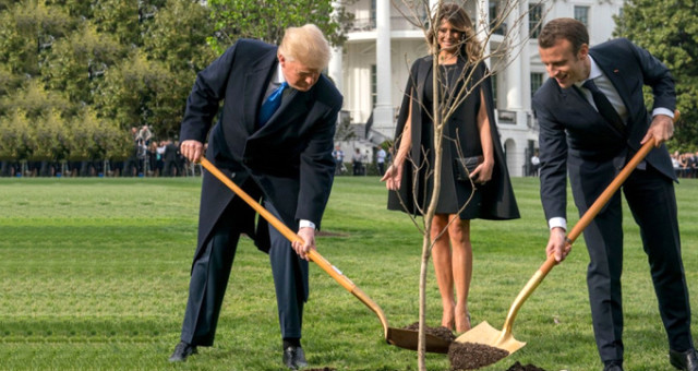 Trump ile Macron Beyaz Saray’ın Bahçesine Ağaç Dikti