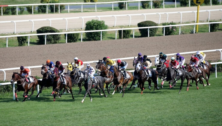 97. Gazi Koşusu’nun galibi Urfa Aslanı