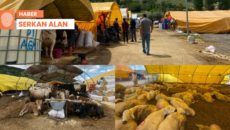 Besici sıkıntılı: Otomobil alıp satsam 20 bin TL kazanırım, niçin bunu çekeyim?