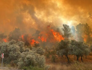 Milas’ta orman yangın: ‘Yazlıkçıların ağır olduğu bölgeyi tehdit ediyor’