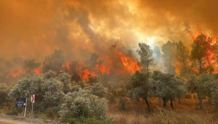 Milas’ta orman yangın: ‘Yazlıkçıların ağır olduğu bölgeyi tehdit ediyor’