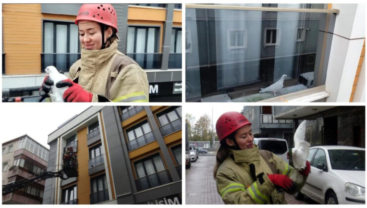 Avcılar’da balkondan güvercin kurtarma operasyonu