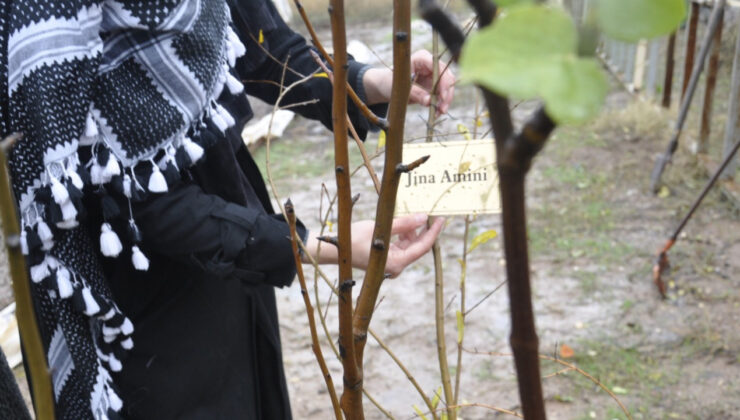 Katledilen bayanlar için Diyarbakır’da fidan dikildi
