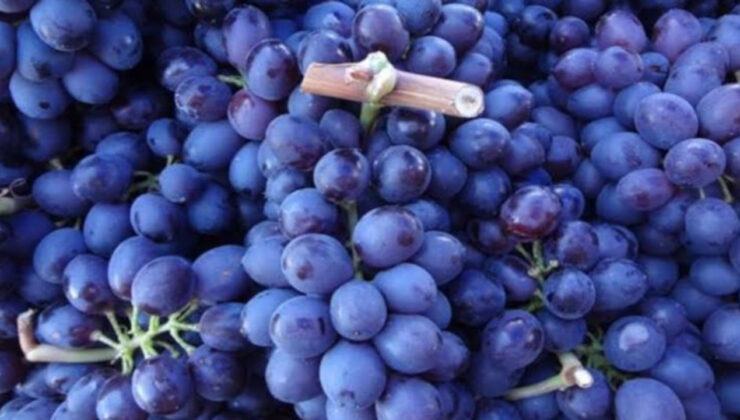 CHP’li Adem: Tütünü yok ettiler, sıra üzümde