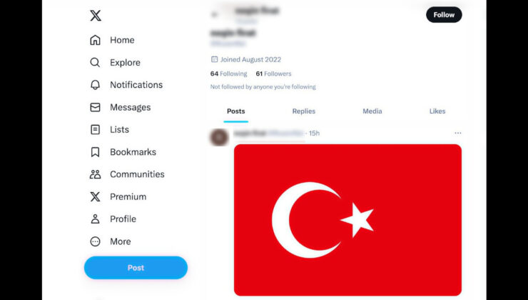 ‘Terör propagandası’yla suçlanan şahsa ‘sosyal medyada Türk bayrağı paylaşma’ cezası