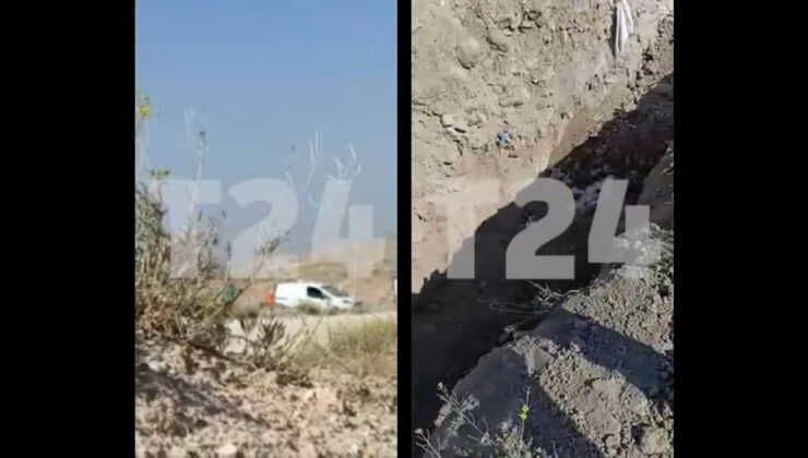 Argüman: Niğde Belediyesi barınağındaki hayvanlar ‘uyutulup’ topluca gömüldü