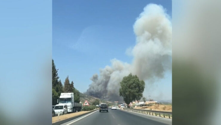 Aydın’da orman yangını mahalleye sıçradı, iş yerleri tahliye edildi