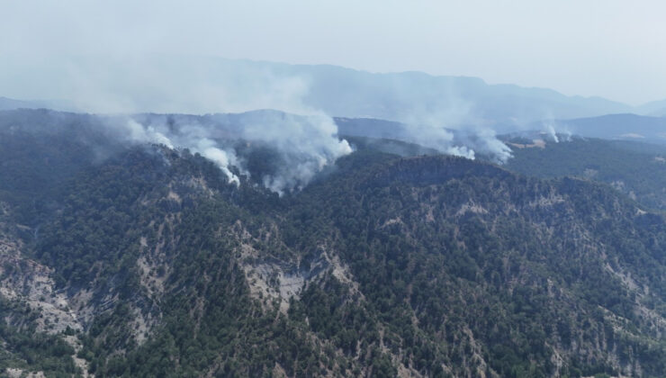 Bolu’da orman yangını devam ediyor: 490 kişi tahliye edildi, 2 kişi tutuklandı