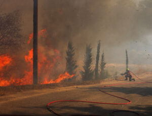 Yunanistan’da orman yangını: Ankara’dan Atina’ya yardım teklifi