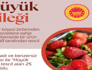 Hüyük çileği artık coğrafik işaret tesciline sahip
