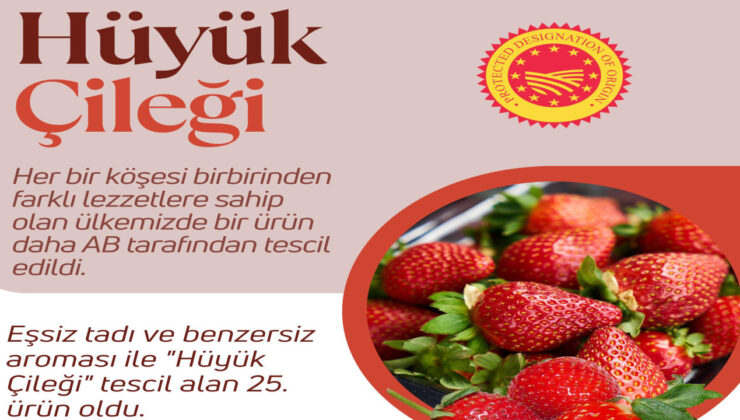 Hüyük çileği artık coğrafik işaret tesciline sahip