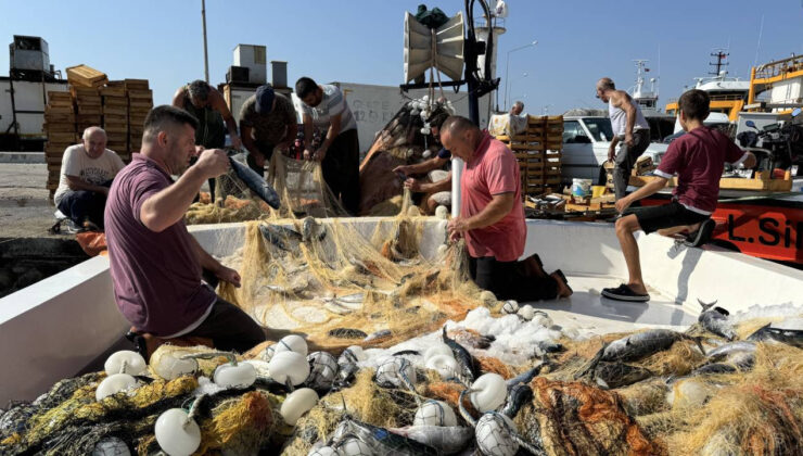 Sinop’ta, balıkçıklar birinci gün limana 500 kasa palamutla döndü