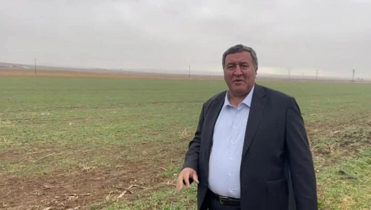 Gürer: ‘Dağı taşı ekin ‘ diyen iktidar, eserin tarlada kalmasını seyretti