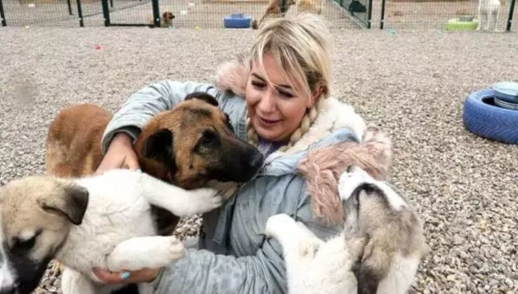 Urfa’dan Ankara’ya götürülen köpeklerin davası: Araç incelenecek