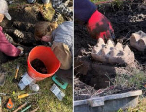 ABD’de bir meskenin bahçesinde mastodon fosili bulundu